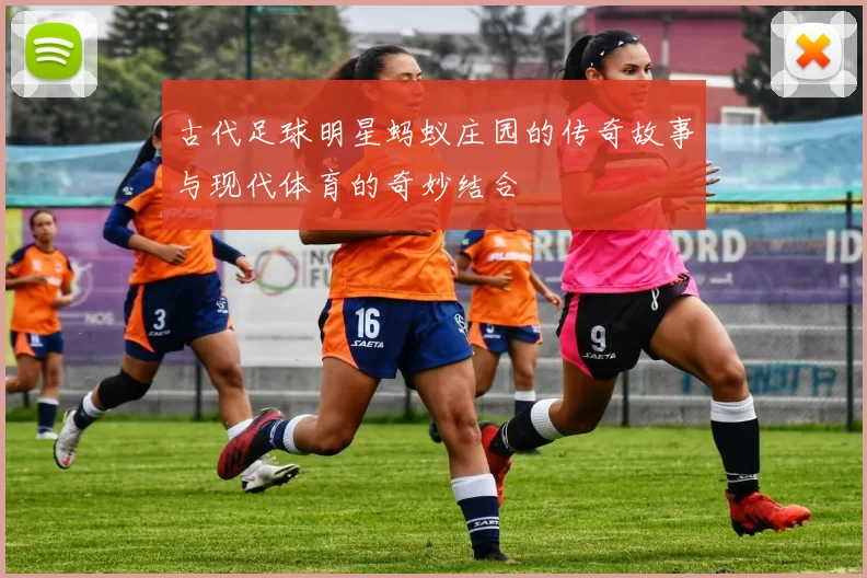 古代足球明星蚂蚁庄园的传奇故事与现代体育的奇妙结合