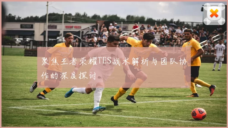 聚焦王者荣耀TES战术解析与团队协作的深度探讨