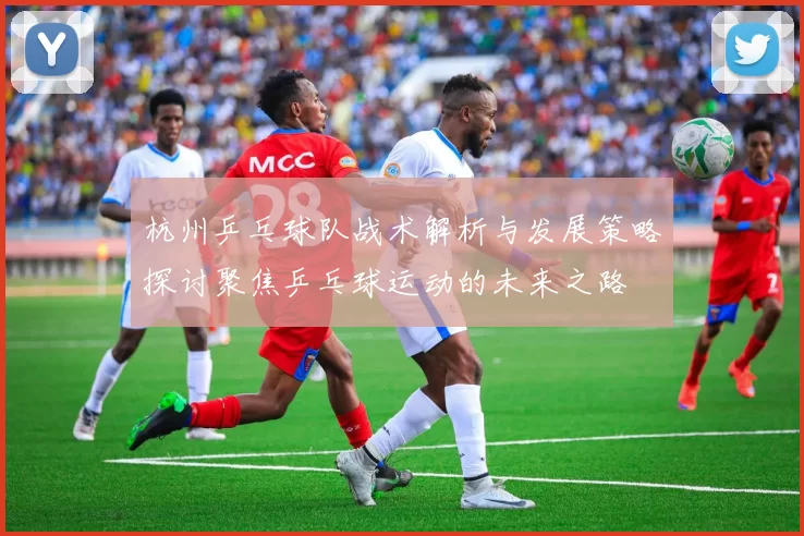 杭州乒乓球队战术解析与发展策略探讨聚焦乒乓球运动的未来之路