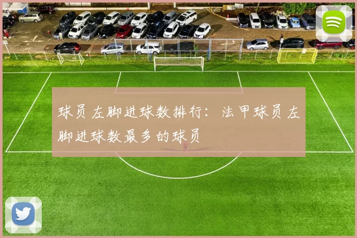 球员左脚进球数排行：法甲球员左脚进球数最多的球员