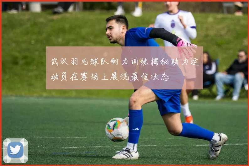 武汉羽毛球队耐力训练揭秘助力运动员在赛场上展现最佳状态