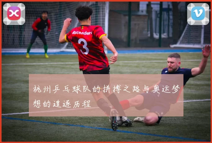 杭州乒乓球队的拼搏之路与奥运梦想的追逐历程