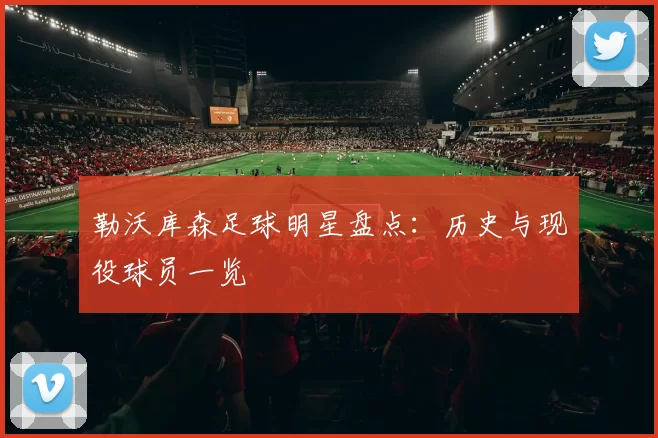 勒沃库森足球明星盘点：历史与现役球员一览